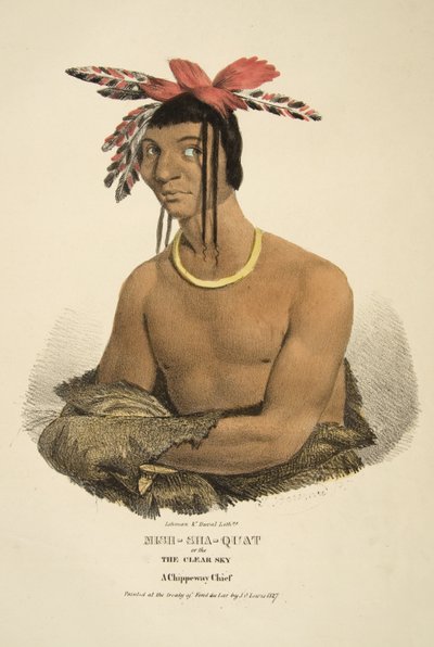 Mish-sha-quat or The Clear Sky by James Otto Lewis